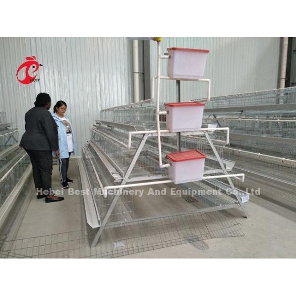 Easily Assemble 2.4mm Chicken Battery Cage Galvanized A Frame Emily