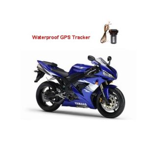 Remote Cut Off Engine Via Relay Automotive GPS Tracker With Anti - Theft