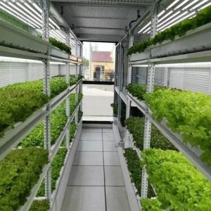Greenhouse Hydroponics Fodder Container Systems Customization for Optimal