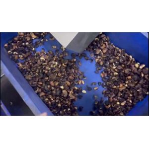 Advanced Cashew Sorting Equipment For Vietnamese Processors With Local Support