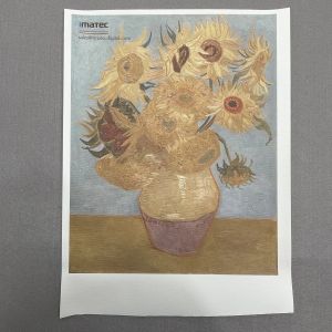 Factory Price Inkjet Polyester Canvas Roll 280gsm Matte Canvas For Inkjet