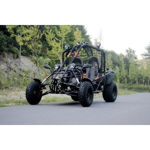 LARGE Single Cylinder 4 Stroke 200cc Dune Buggy For Forest Road / Riverbed