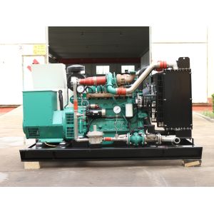 300KW 375kva Cummins Generator with IP23 Protection Class and Natural Gas Fuel