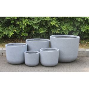 Wholesale Real Plant Display With Fiber Clay Planters Decoration