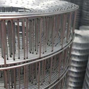 Factory Cheap Price Wire Mesh Cage Galvanized Welded Iron Mesh Hardware Cloth