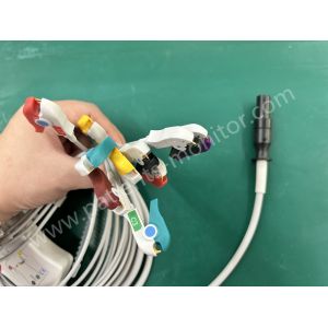 Mortara Q-Stress 60-00186-01 IEC 10-lead 12pins EKG ECG Cable DLMOR-011-05