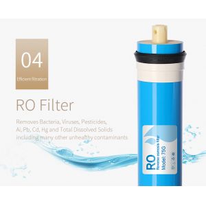 WellBlue Household Reverse Osmosis Water Purifier , RO Water Filter Machine