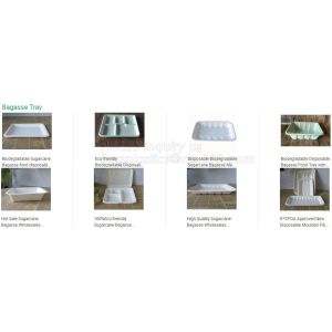 Eco Biodegradable Disposable Sugarcane Bagasse Food Container,Customize