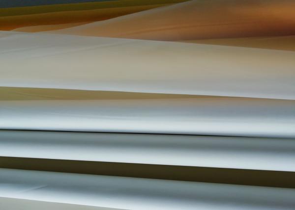 Quality Plain Weave 90 Mesh 3.6M Width 100% Polyester Silk Screen Printing Mesh for sale