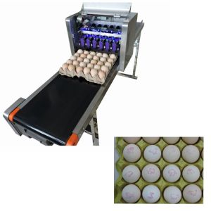 Smart Eggs Code Printing Machine With Condensation Resistance Characteristics