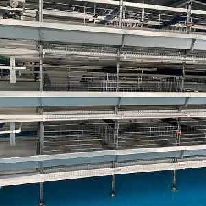 Top Quality H Frame Automatic Chicken Layer Cage Electric Layer Cages