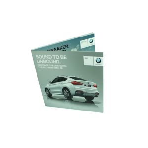 impreesive digital video cared for fair/ business promotional