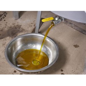 Cold Press Peanut Screw Oil Press Machine Oil Presser With Oil Filter System