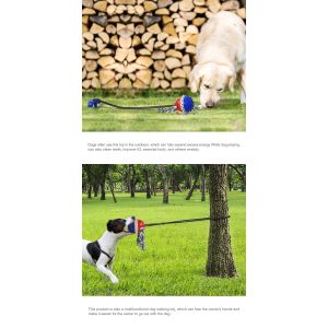 Indestructible Natural TPR Dog Molar Chew Toy Toothbrush Drawstring Ball