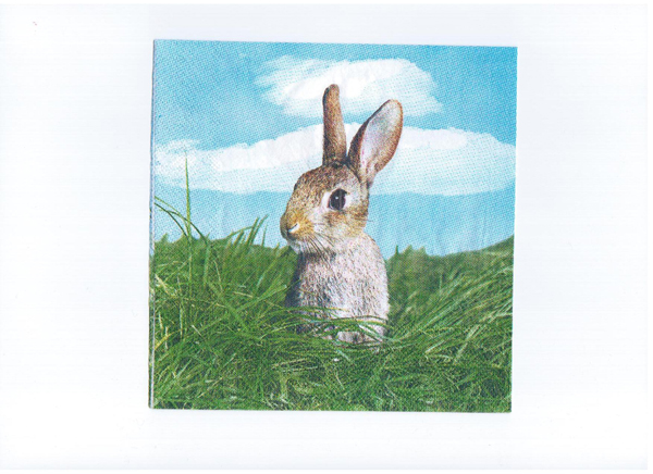 OEM 18gsm Bunny Rabbit Printed Paper Napkin For Wedding