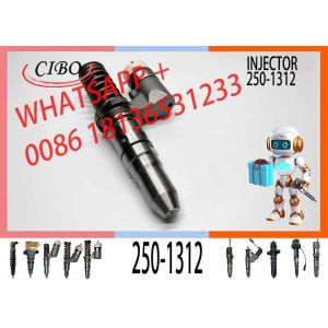 Common Rail 793C 793D Diesel Engine Fuel Injector 250-1312 10R-1275 437-7547 20R