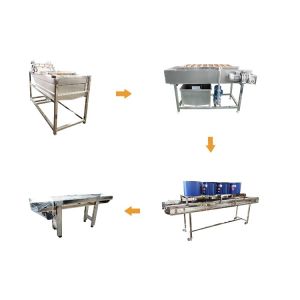 Fruit Vegetable Washing Machine Eggplant Potato Processing And Packing Line