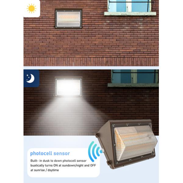 3CCT Adjustable Wall Pack LED Outdoor Lights 100W Waterproof