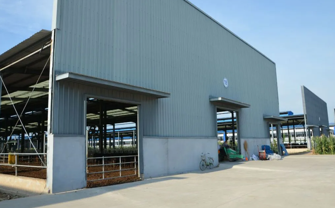 Customizable Earthquake Resistant Corrosion Resistant Quick Assembly Steel Structure Poultry House for Livestock Farming