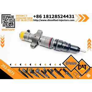 Excavator Part C9 Common Rail Injector 253-9434 387-9433 10R7222 382-2574 387