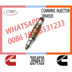 Wholesale Common Rail Fuel Injector 2897320 2872405 2086663 2894920 2482244 2488244 4327147 2872056 2872284 For Diesel Engine from china suppliers