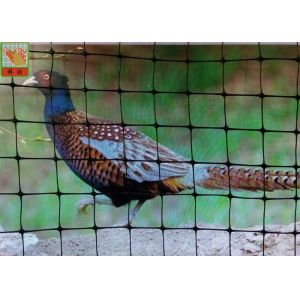 Rust Proof Plastic Pheasant Netting Fencing, Plastic Poultry Netting, PP