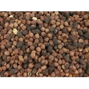 High Throughput Lotus Seeds Color Sorter CCD Camera 512 Channels