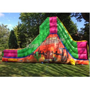 Wholesale Bull Theme Bright Color Inflatable Dry Slides With 25 Feet Long For Child And Adult from china suppliers