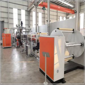 PLA Plastic Sheet Extrusion Machine PLA Blister Sheet Production Twin Screw