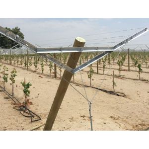 Agriculture Plantation Y Shaped Trellis Posts , Durable Wine Grape Trellis