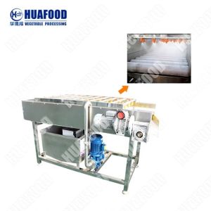 Cleaning Vegetable And Fruit Washing Machine Processing Line High Efficiency