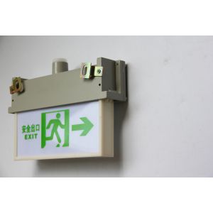 Customised Surface Pattern 3w 220VAC Explosion Proof Exit Light