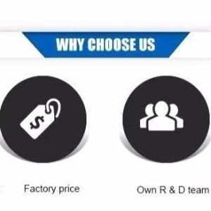 60W Electric Car Ozone Generator Cleaner for Disinfection