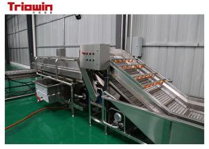 Garlic Paste Processing Line Fruit And Vegetable Processing Line Garlic processing machine