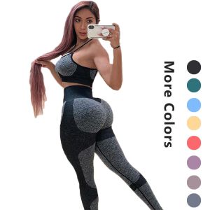 Wholesale [Free Sample] Yoga Pants Leggings Apparel Processing Services Slight Customize from china suppliers