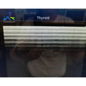 11.0MHz Linear Array Ultrasound Transducer Probe Toshiba PLT-704SBT