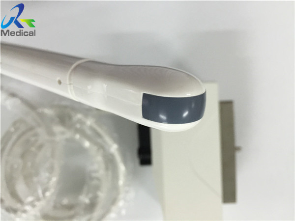 Quality 10mm Convex Ultrasound Transducer , Convex Probe Ultrasound EC1123 for sale