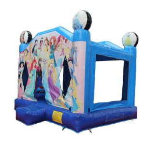 Wholesale Castle Inflatable Bouncer Cartoon Character Bouncy Jumping House with Customized Size from china suppliers