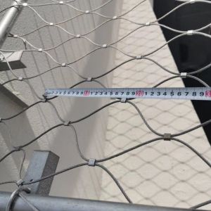 Wire Rope Plant Trellis System Stainless steel rope mesh