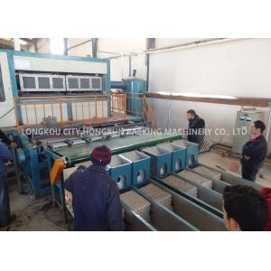 Wholesale Natural Gas Pulp Molding Machine , Rotary Egg Tray Making Machine from china suppliers