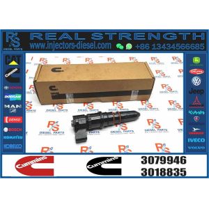 China Fuel injector kit NT855 3079946 3079947 fuel kit injector fuel injector seal repair kit on sale