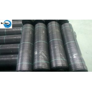 New PP Woven Weed Barrier Control Mat Ground Black Cover Fabric in Strawberry