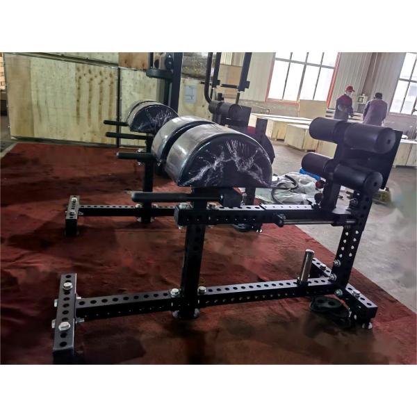3.0mm Tube Thickness Multi Functional Glute Ham Developer for Professional Sports Gym