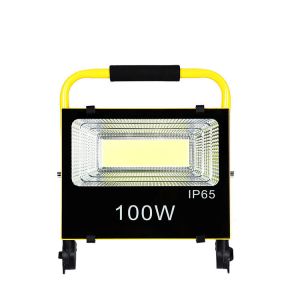 Brightest Outdoor Led Flood Lights With Solar Panel 20W 30W 50W IP67 Waterproof