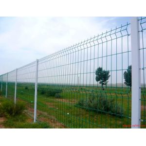 200X50mm Welded Mesh Fencing 6/5/6 8/6/8 Double Wire Mesh Fence processing pvc