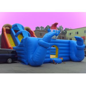 Clown Bouncy Slide Large Inflatable Water Slides With Sun Cover