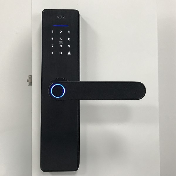 Quality Aluminum alloy Biometric Smart Lock With Fingerprint Sensor for sale