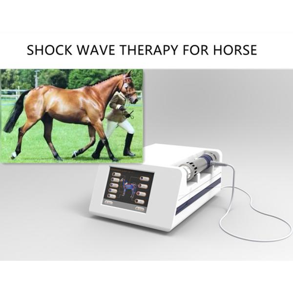 Quality Portable Shock Wave 5Mj ESWT Shockwave Machine for sale