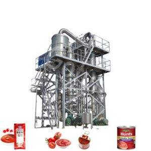 Wholesale Multifunctional Tomato Processing Line With Turnkey Processing Adjustable from china suppliers