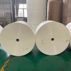 PE Laminated Cup Stock Paper Max 1200mm Coated Paper Roll